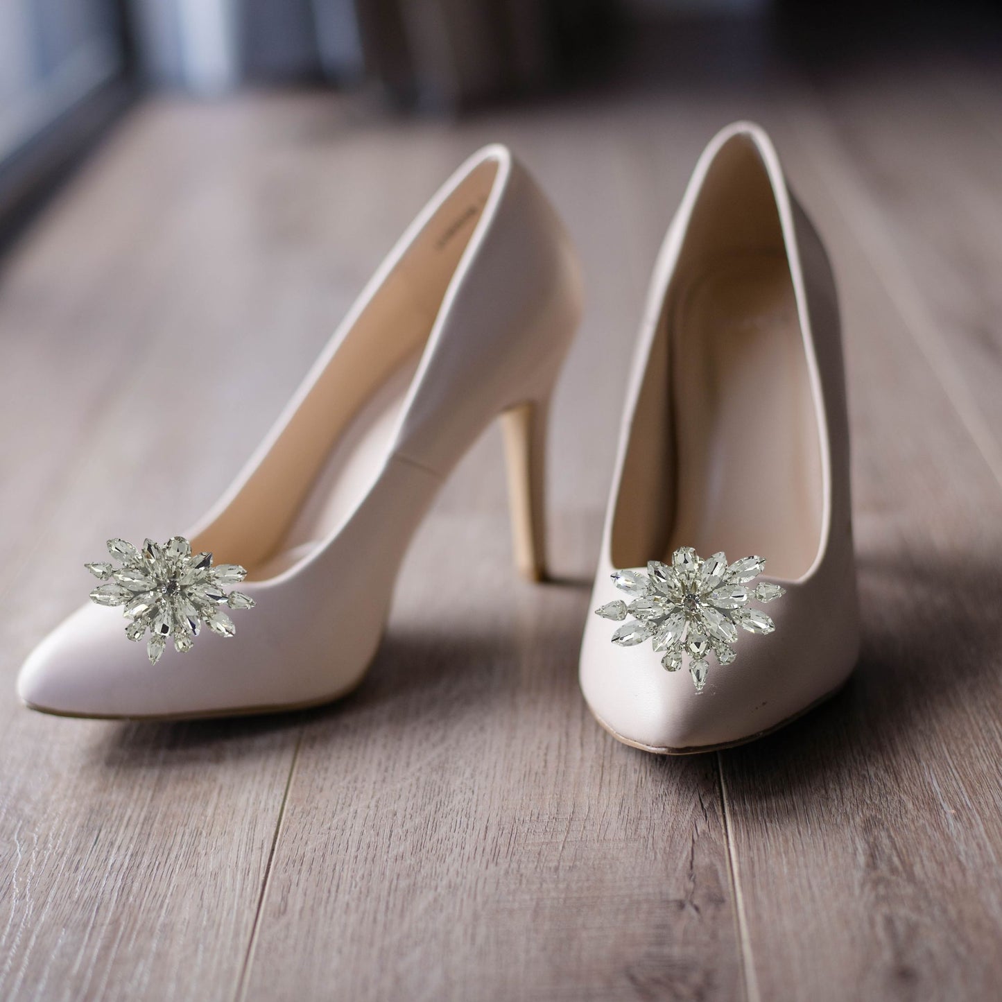 SHOE CLIPS SILVER